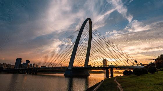 你为什么选择留在哈尔滨,你为什么选择留在家乡