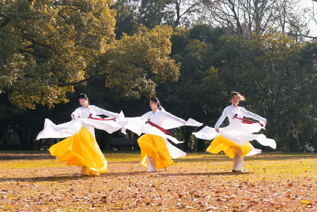 上热搜的民族舞,上热搜的舞蹈