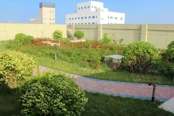 东方雨虹彩色超柔,东方雨虹典雅灰效果图