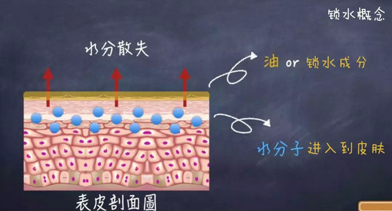 堪比科颜氏白泥的其他护肤品,堪比科颜氏精华