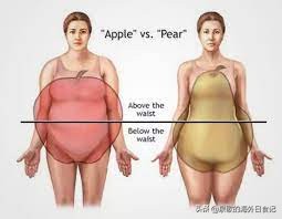 腰臀比对应身材图片,腰臀比健康比例多少