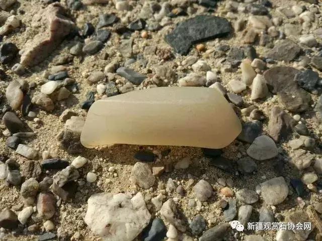 戈壁滩捡玉怎么分辨玉和石头,金丝玉三剑客戈壁滩捡金丝玉