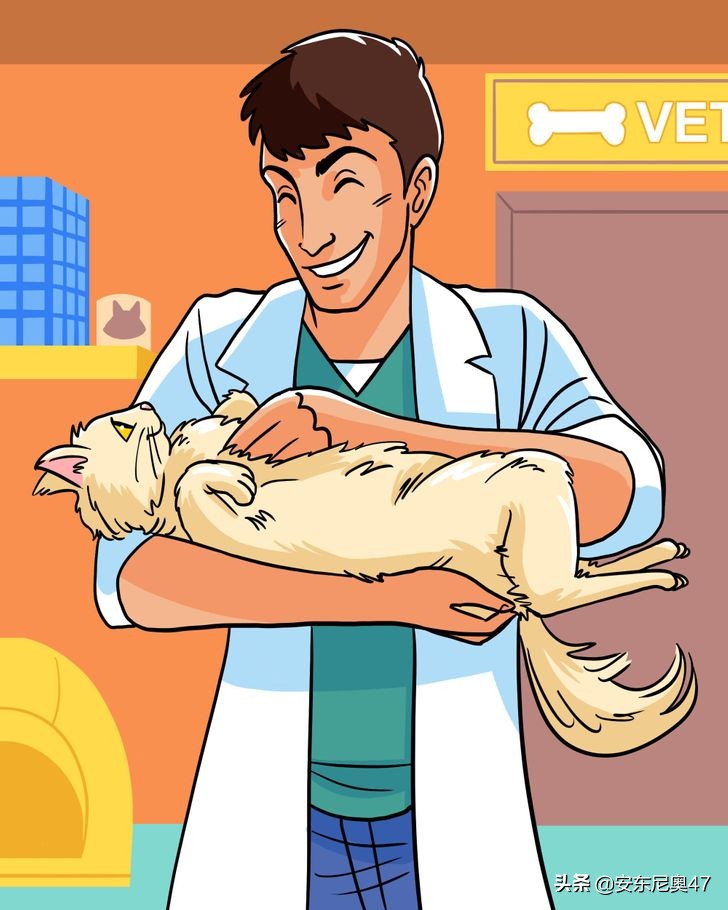 猫咪最喜欢被抱的姿势是怎样的,猫咪最喜欢的抱法