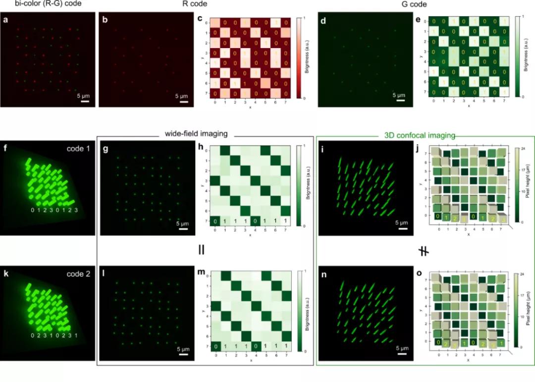 香港大学磁共振成像,香港大学钙钛矿