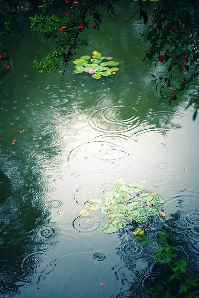 被严重低估的旅行地！如果你来江南古城常熟，我会带你去这里