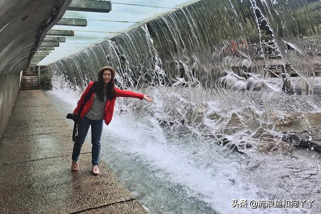 二郎山喇叭河看鹿,二郎山喇叭河看日出攻略