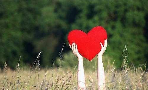 如果当初没遇到你该有多好,为什么要早点遇到你