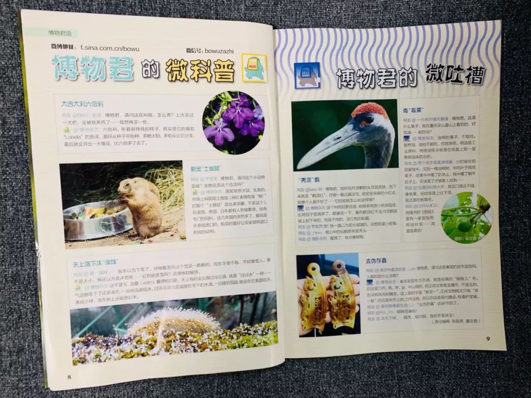 班主任推荐订的杂志，有些真是“一言难尽”|儿童杂志亲测