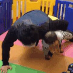 宅在家里健身器,宅在家的状态把生活当成历练