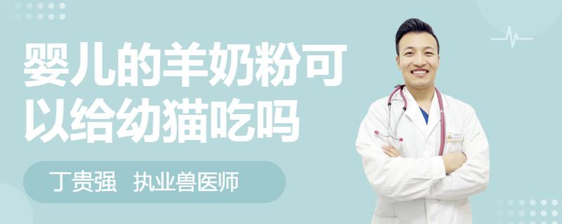 婴儿喝的羊奶粉可以给幼猫喝吗,小孩喝的羊奶粉可以喂幼猫吗