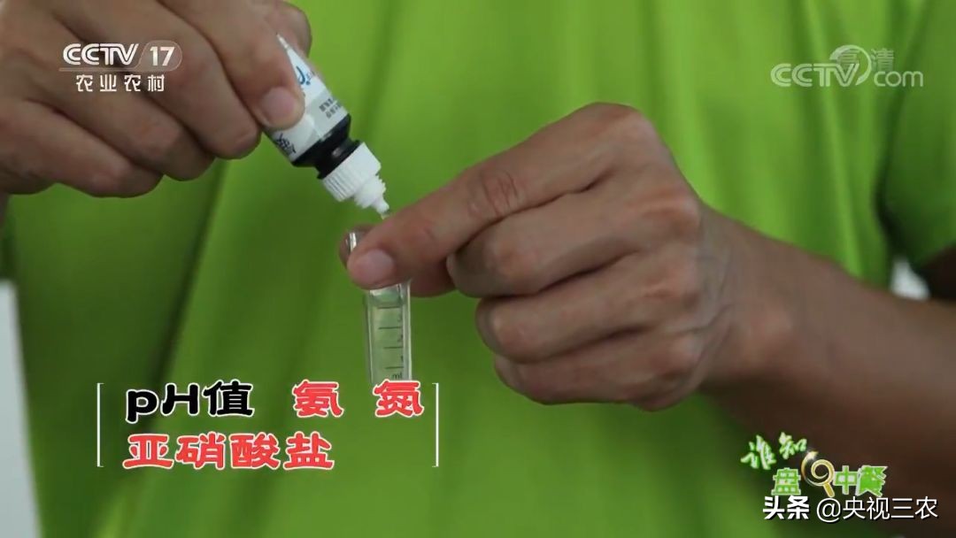 又臭又贵的臭鳜鱼,臭鳜鱼和桂鱼哪个贵呢