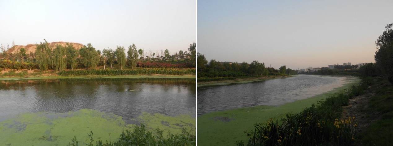 话说河师大最新消息,话说河师大