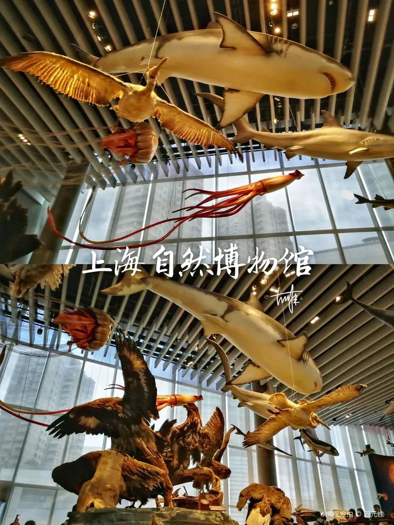 戏精博物馆文物,博物馆戏精文物