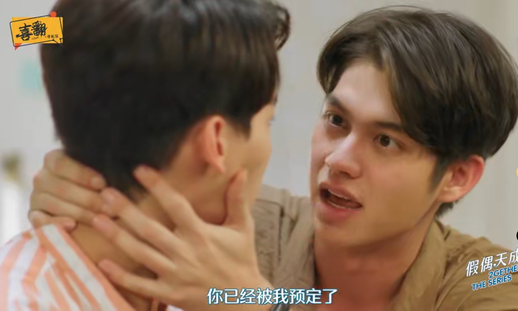 假偶天成全集免费,假偶天成一见钟情