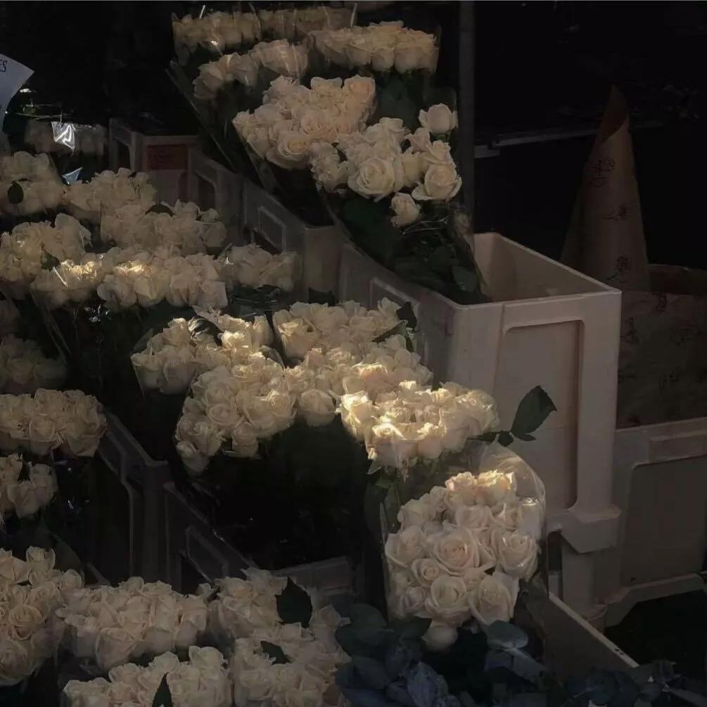 小众文案短句干净,生活小众文案高级有深度