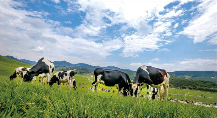 三寰牧场游玩日记大连,大连三寰牧场周围景点