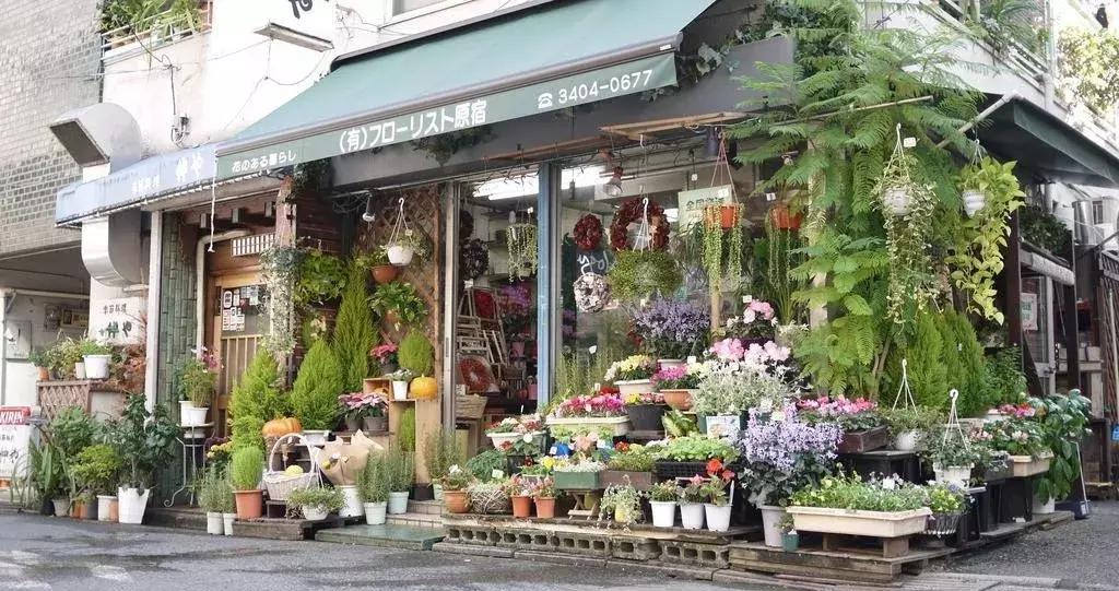 开花店怎么学技术,开花店零基础知识