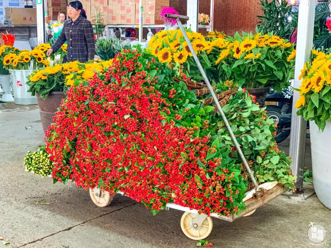 昆明鲜花进货渠道,昆明尚义花市