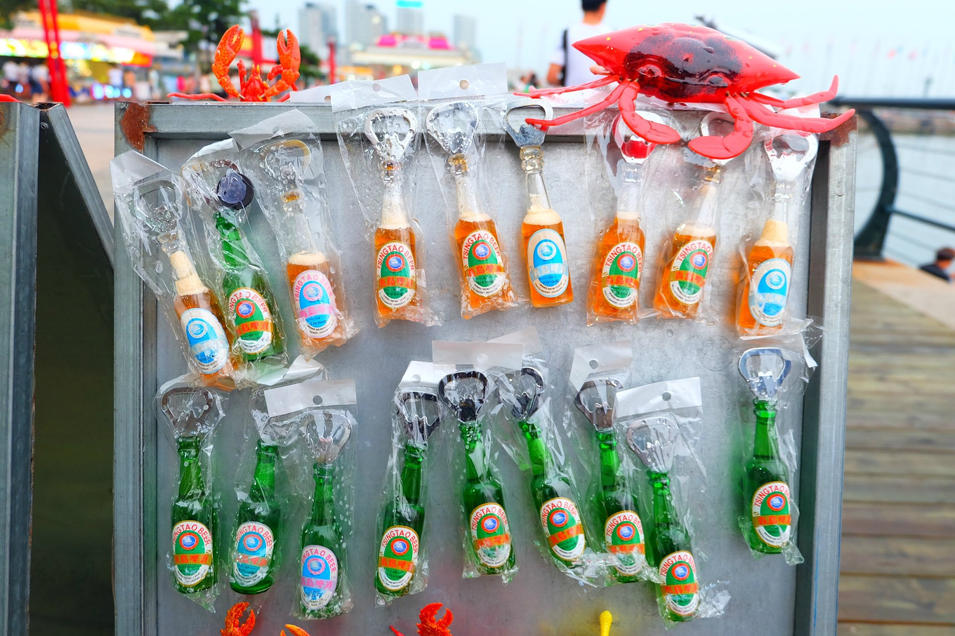 骆驼青岛,骆驼旅行在路上