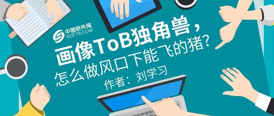 画像ToB独角兽，怎么做风口下能飞的猪？