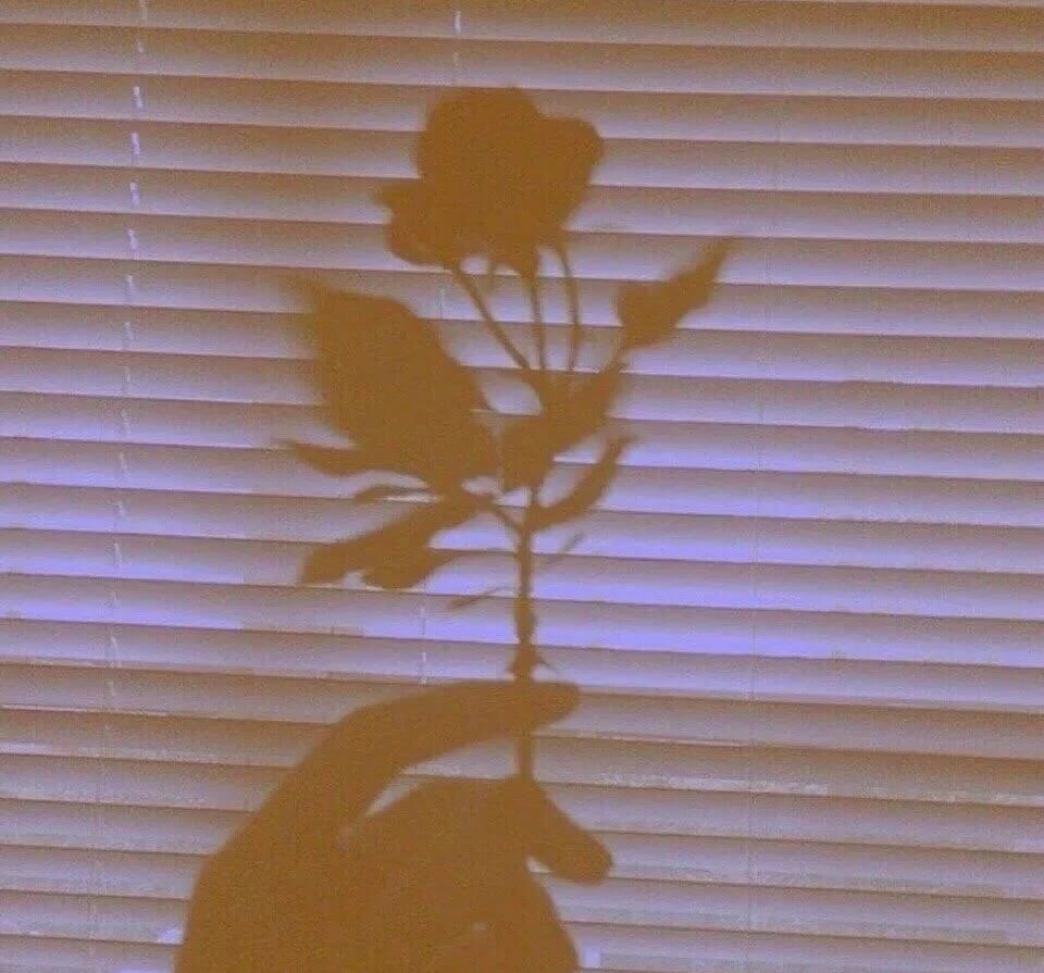 许三观卖血记全书精简书评,许三观卖血记全文