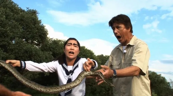 日本综艺有哪些东西是可以吃的,日本下饭综艺节目完整版