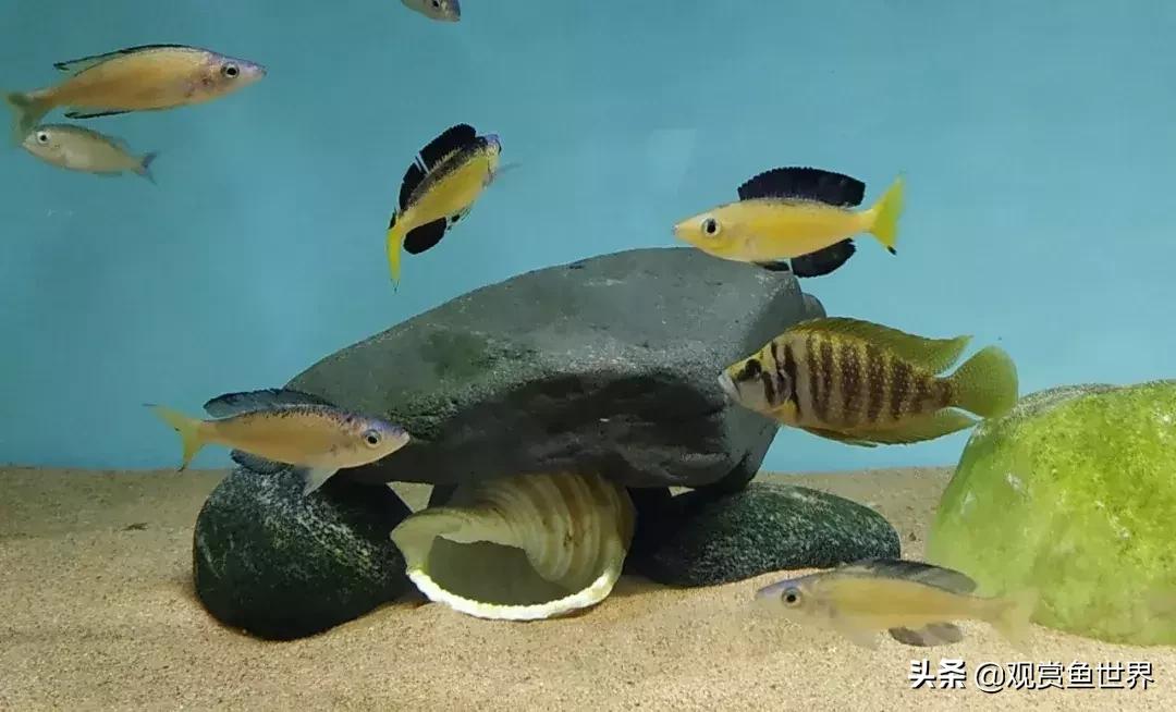 梦想的三湖世界持续建设中……方位:中国天津