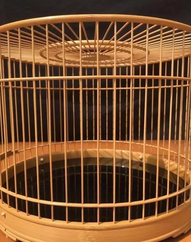 如何挑选鸟笼盖板和钩子,如何挑选金丝雀鸟笼