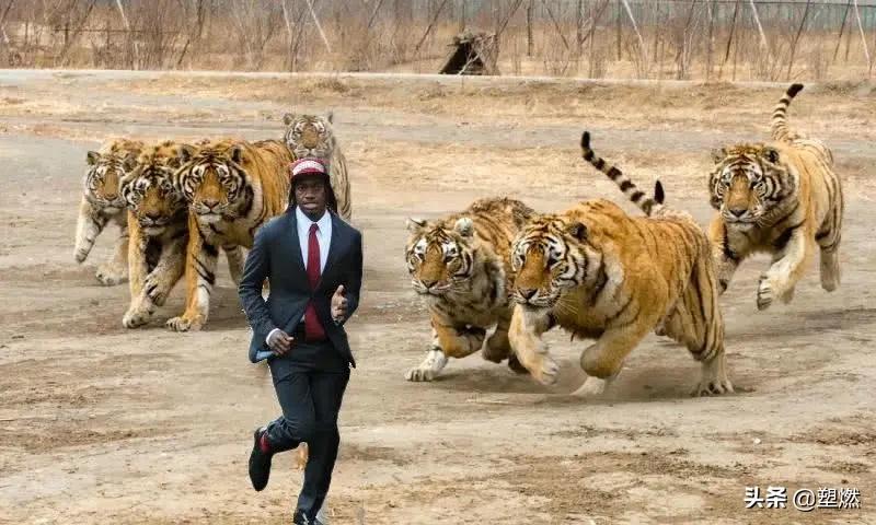 皮质醇讲解,皮质醇高对人的危害