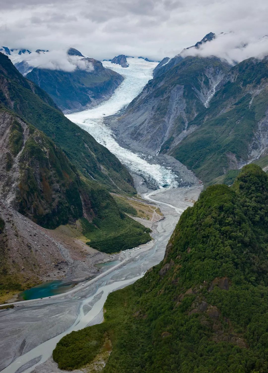 新西兰为什么那么发达,新西兰为什么这么牛