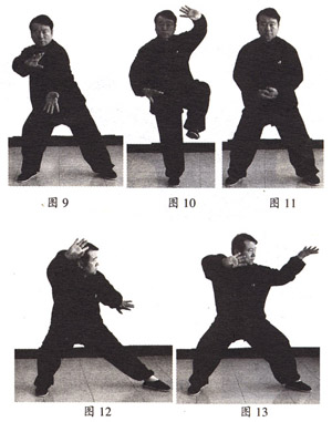 张祖翼太极拳功法视频,张祖义太极拳训练