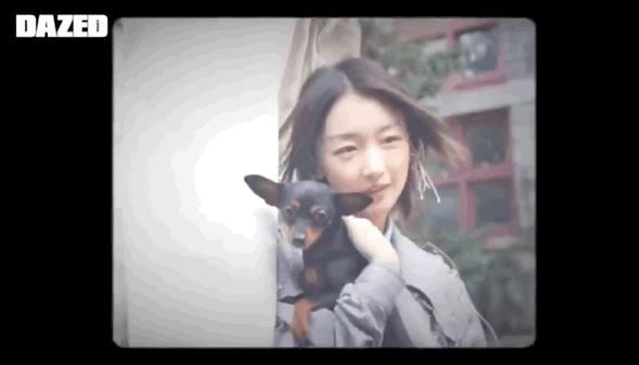 向往的生活锅碗瓢盆分别被谁养,向往的生活锅碗瓢盆4只狗