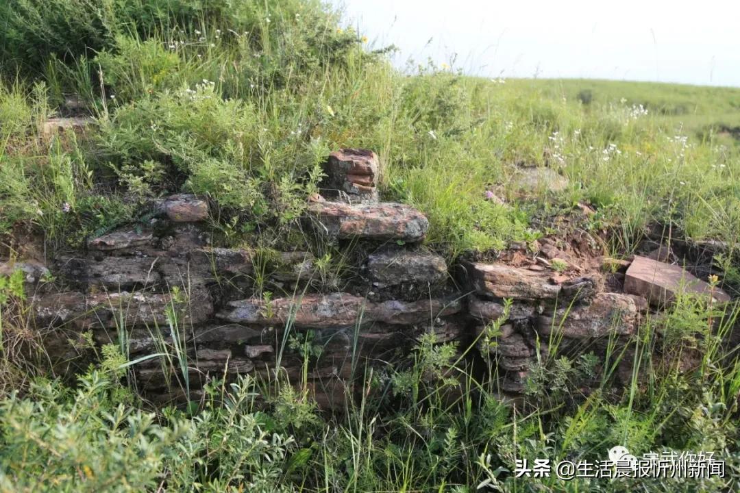 我的家乡在忻州歌曲,我的家乡宁武朗诵