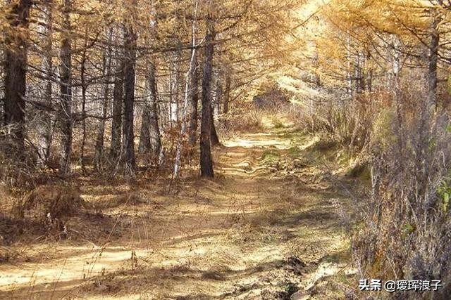 再见那年的秋天，回首多了感动，少了阑珊