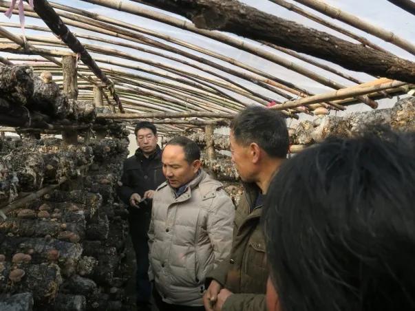 新时代文明实践志愿服务项目库,新时代文明实践志愿服务项目大赛