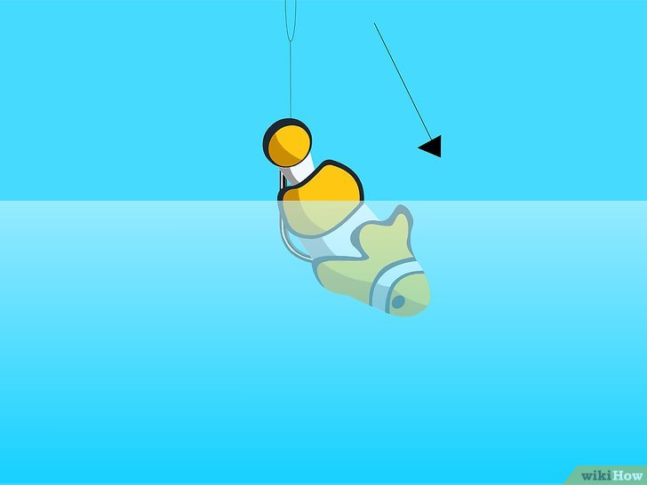 双子线跑铅钓鱼的正确方法,泥鳅钓鱼的正确方法和技巧