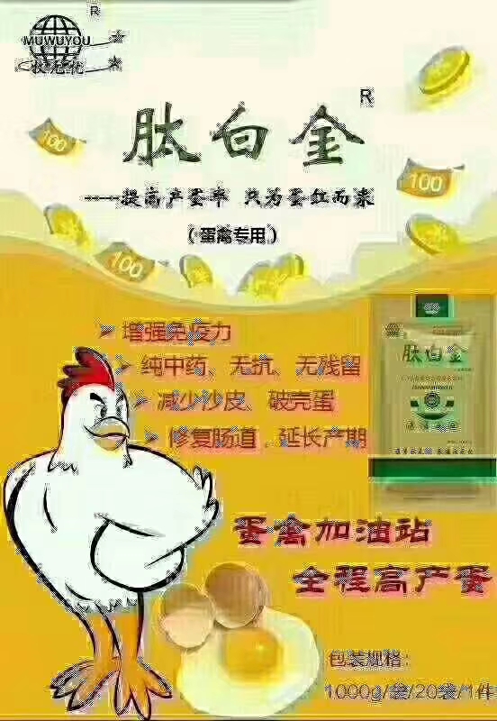 蛋鸭掉毛是什么原因,蛋鸭掉毛的解决方法