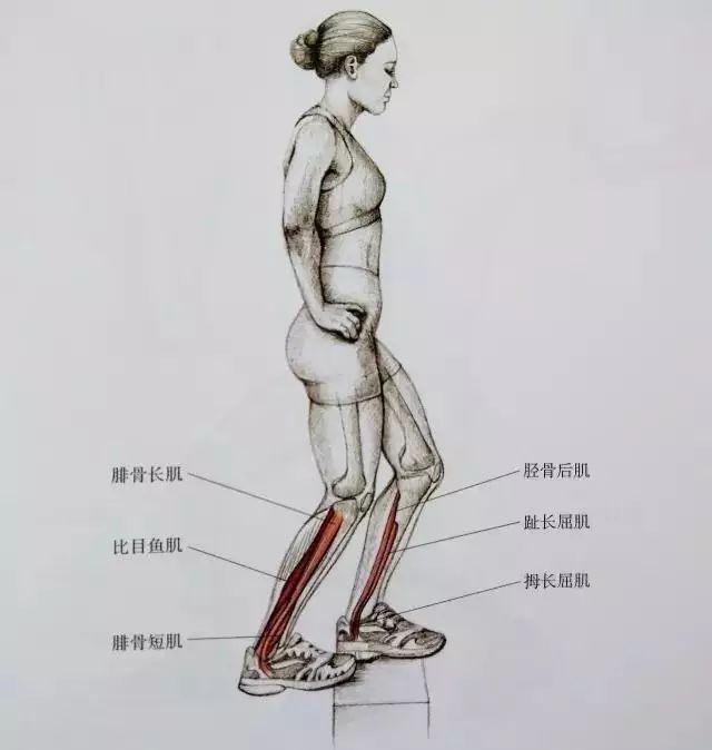 小腿拉伸图解告别疙瘩腿,大腿内侧有疙瘩怎么拉伸