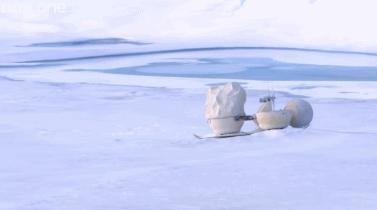 这6部电影足以秒杀大部分电影,十部必看旅行纪录片人文纪录片