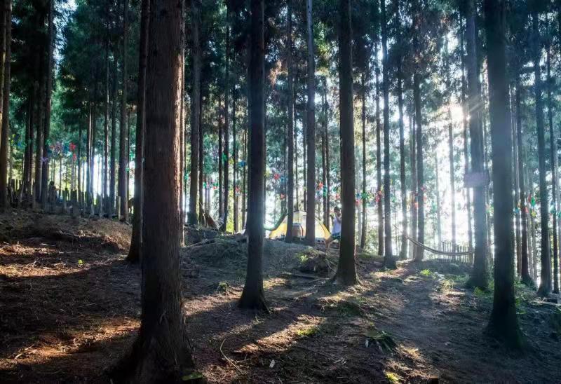 广源避暑休闲村好玩吗,广源避暑休闲村海拔