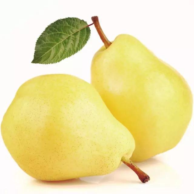 水果简笔画拟人化小学生四年级,画食物甜品和水果零食简笔画