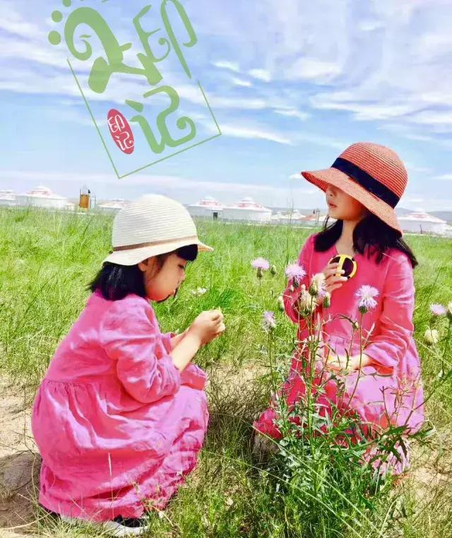 呼伦贝尔亲子游第二季,呼伦贝尔暑期亲子游