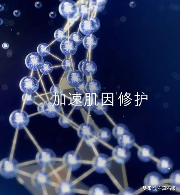 雅诗兰黛小棕瓶眼霜小样真假,雅诗兰黛小棕瓶眼霜真假辨别