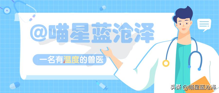 小伙花50买一条狗,男子贪图便宜便网购了一只哈士奇