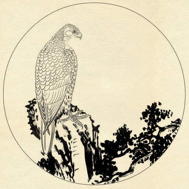 鹰的工笔底稿白描大图,白描鹰的画法图片