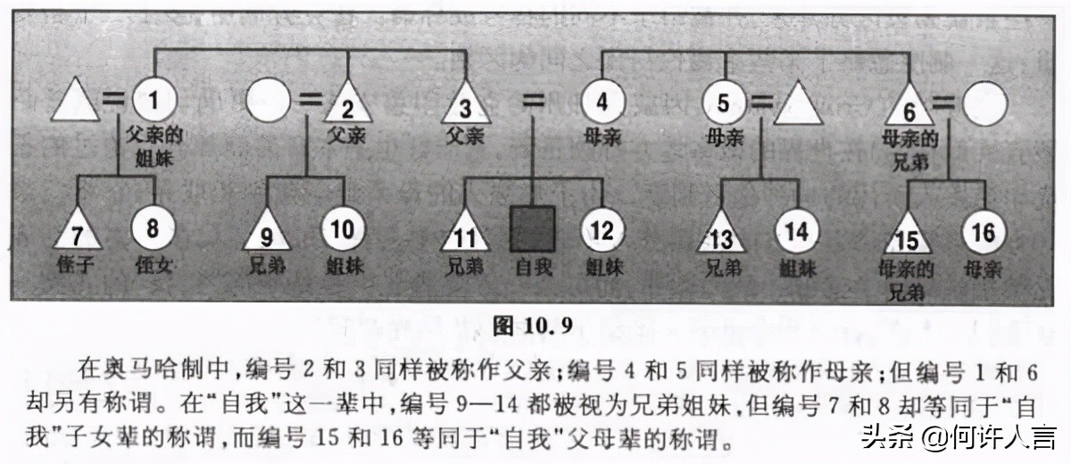 外国人对中国亲戚称呼的看法,外国人对中国亲戚称呼的理解