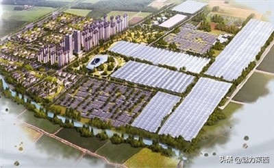 不忘初心牢记使命莱西,不忘初心牢记使命强农兴农新时代