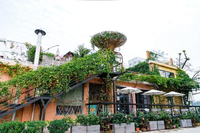 深圳十个小众打卡地,在深圳这些地方既小众又值得打卡