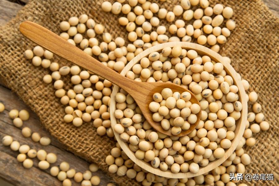 汤臣倍健有鸡蛋壳的蛋白粉,汤臣倍健蛋白粉和黄金搭档