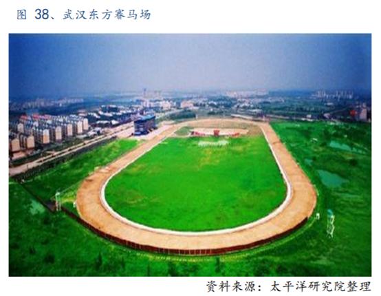 体育行业报告,体育赛马项目介绍